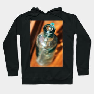 Vintage Glass Medicine Bottle Hoodie